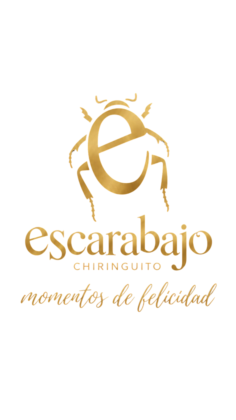 Colaborador 4
